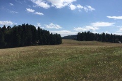 IMG_0311