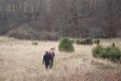DSC07825_640x480