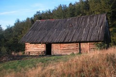 MINOLTA DIGITAL CAMERA