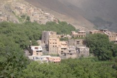 DSC07078_640x480