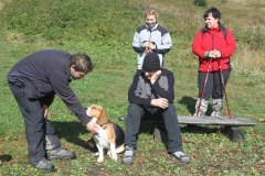 IMG_3857