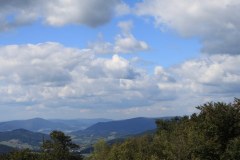 IMG_3908