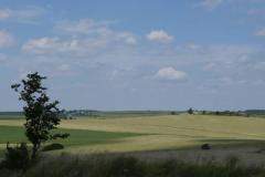 rowerowa12