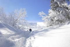 DSCN1433