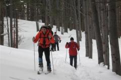 bg_2009_31