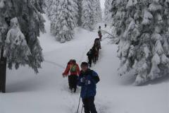 bg_2009_33