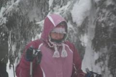 bg_2009_41