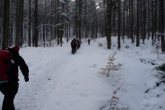 P1000021_640x480