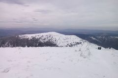 2016-03-05-11.24.42